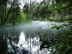 Lase energiajõel takistusteta voolata!