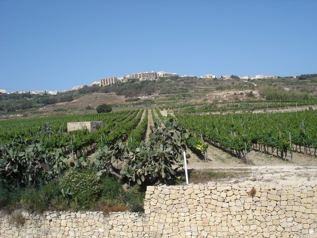 Gozo põllumajandus