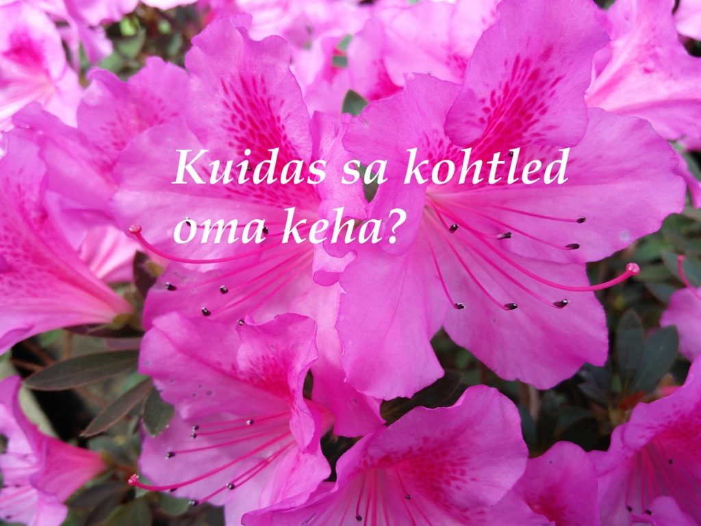 küsimused