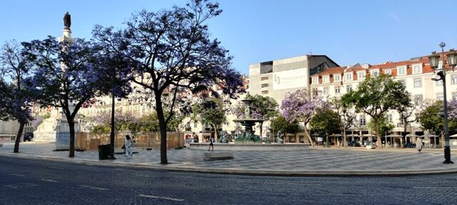 Lissaboni õites puud