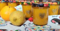 Eksootiline kõrvitsamoos ananassi, sidruni ja apelsiniga