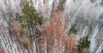 Eestimaa matkarajad: talvine päev Valgesoos